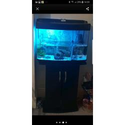 64 LITRE FISH TANK **INCLUDING ACCESSORIES AND MORE**