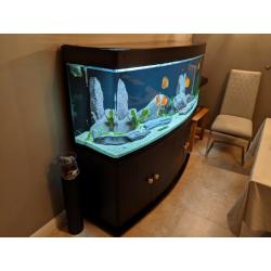 Cleair Bow Front Aquarium