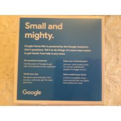 Google Home mini