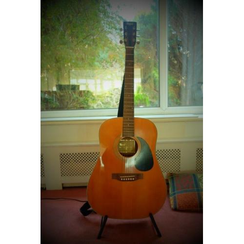 ACOUSTIC GUITAR BRAND 'ROYAL' INTERESTING GOOD QUALITY VINTAGE LIKELY 70'S / 80'S JAPANESE