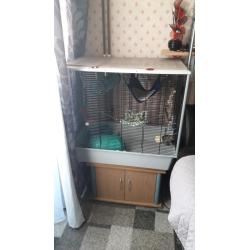 Rat cages and stand