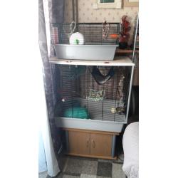 Rat cages and stand