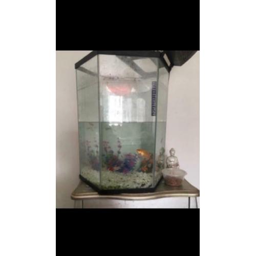 Large hexagon fish tank