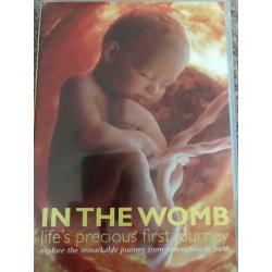 In the womb dvd