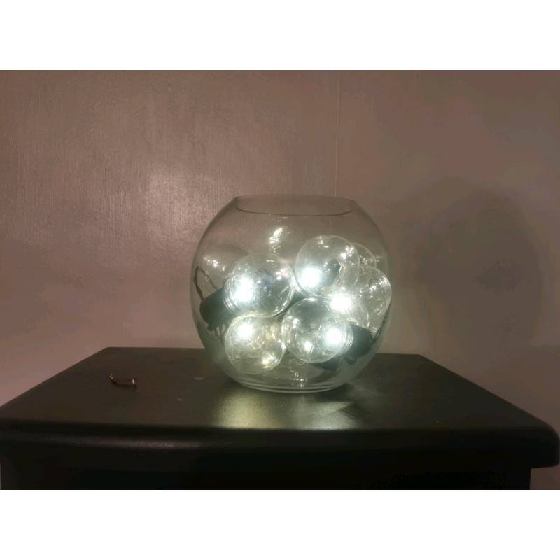 Large glass fish bole with light bulbs lights