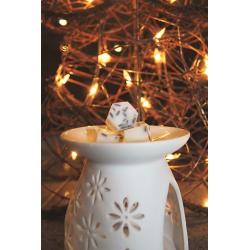 8 wax melts & burner gift box