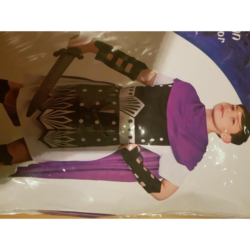 World book day costume roman warrior 8-10 age