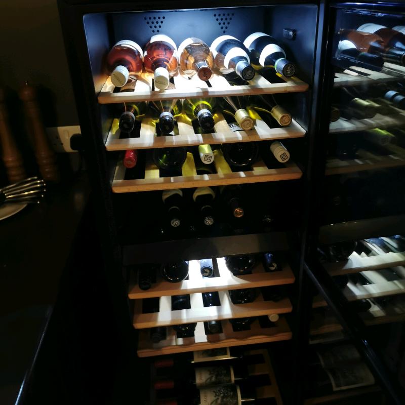 Dual temperature control wine fridge