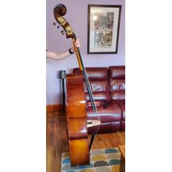 Stentor 1950 Double bass for sale