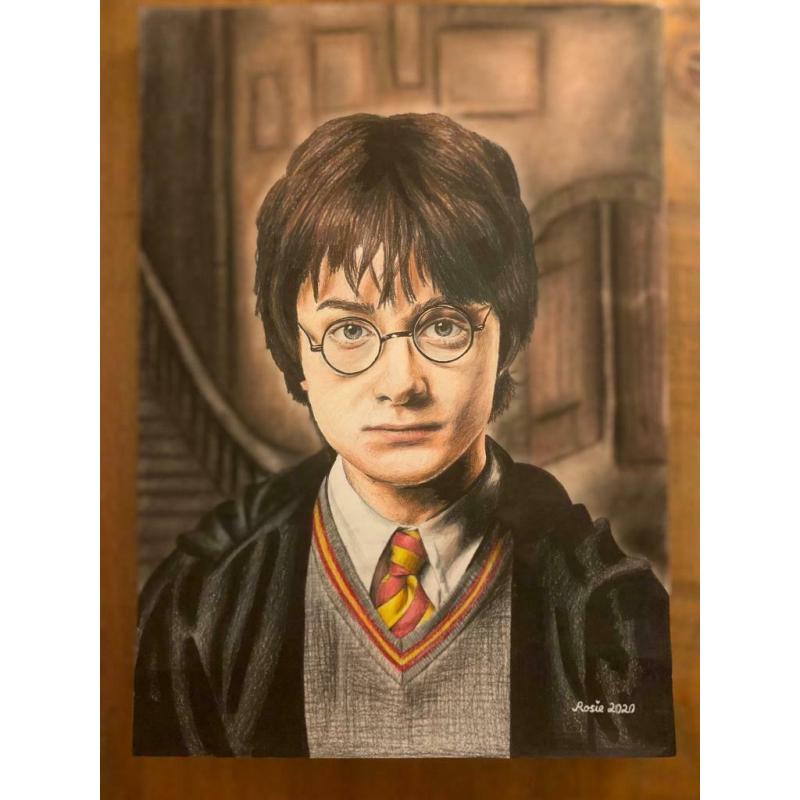 Original Artwork Harry Potter Print