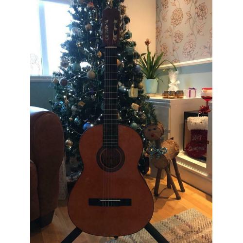 Acoustic guitar