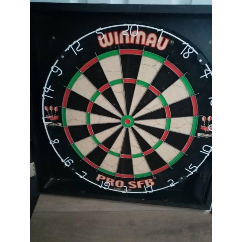 Winmau Dartboard