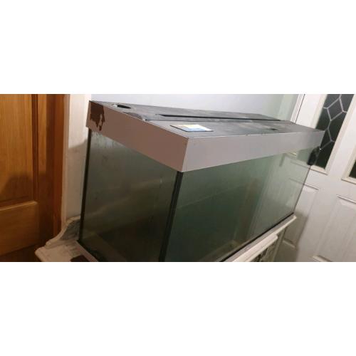 Fish tank only