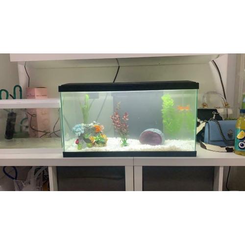 Ciano aquarium 58l