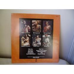 THIRD WORLD '96 DEGREES IN THE SHADE' 1977 VINYL L.P.