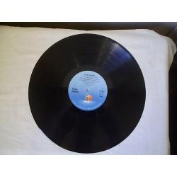 THIRD WORLD '96 DEGREES IN THE SHADE' 1977 VINYL L.P.